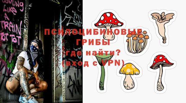 ECSTASY Балахна