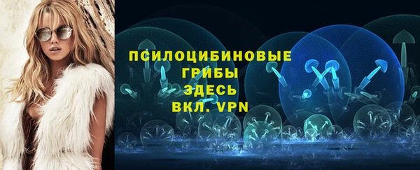 кокс Богородицк