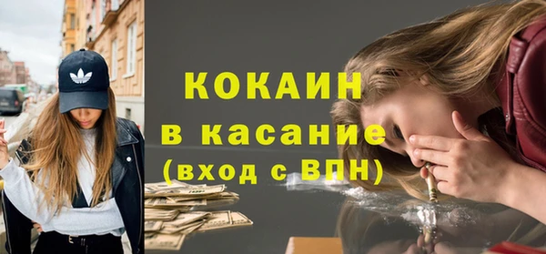 кокс Богородицк