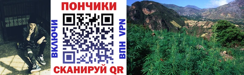 Бошки марихуана Bruce Banner  Вяземский 